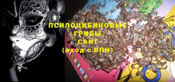 2c-b Кукмор