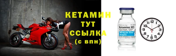 индика Лабытнанги