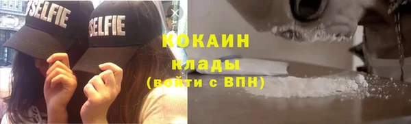 индика Лабытнанги